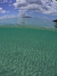 The shallows of Cane Garden Bay distorted by my Inon 100d... by Terry Moore 